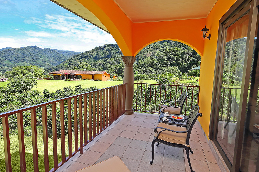 Premium Suites 3