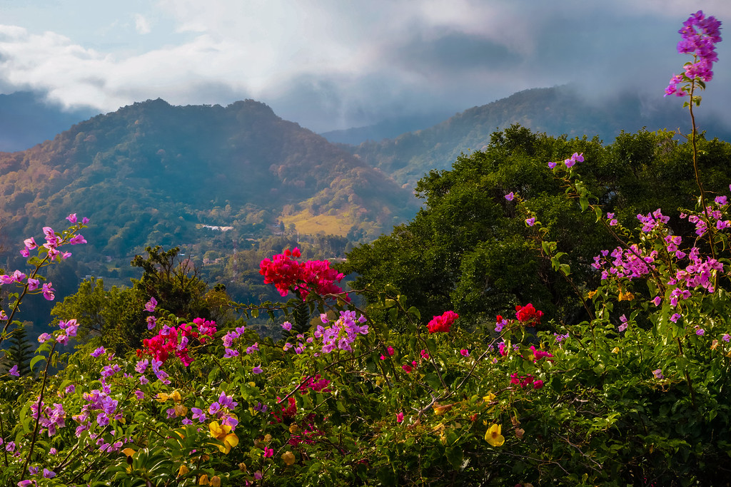 Mountains