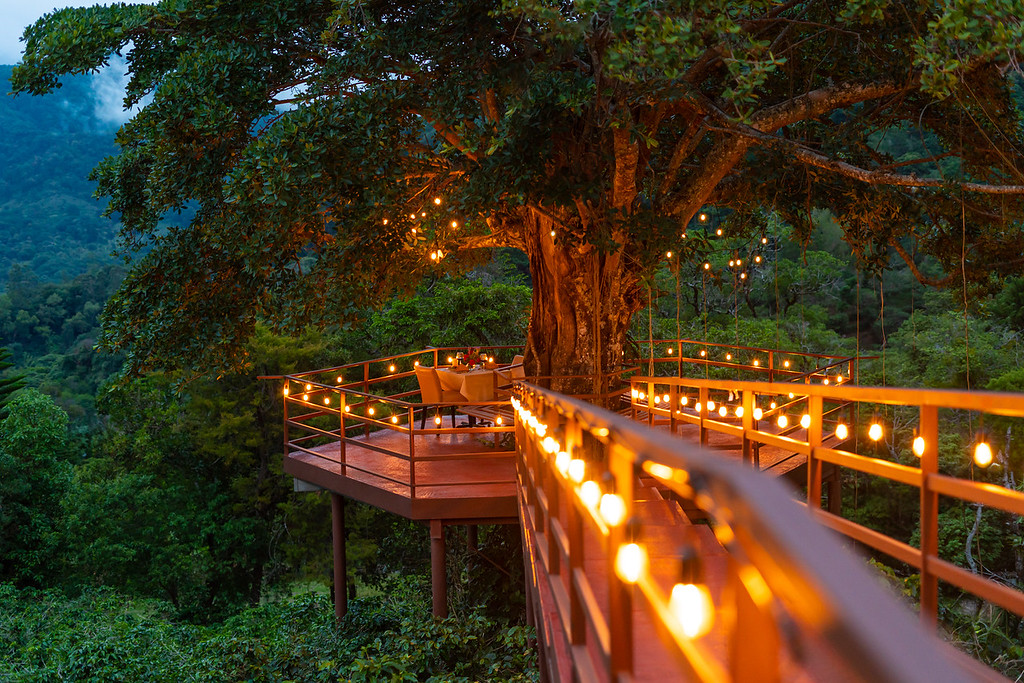 Romantic treehouse dining