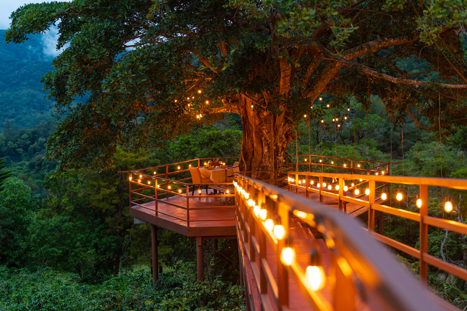 Fine dining at Los Establos Restaurant