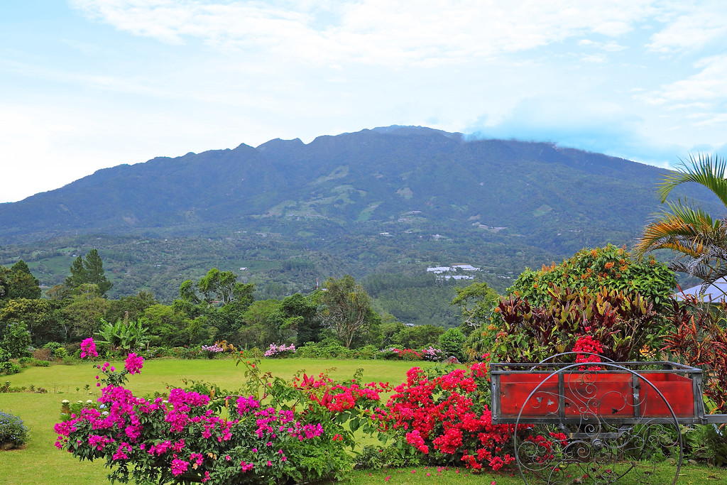 Resort gardens