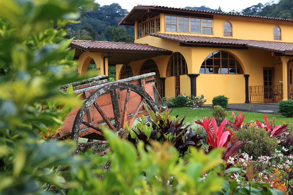 Coffee plantation in Boquete Panama highlands