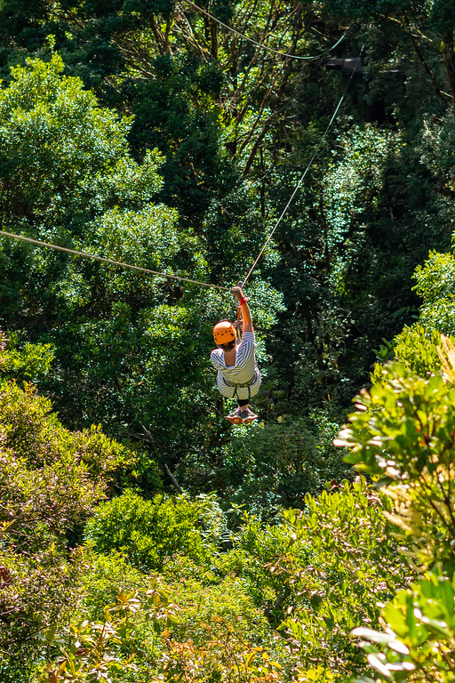 Canopy Zip-Lining