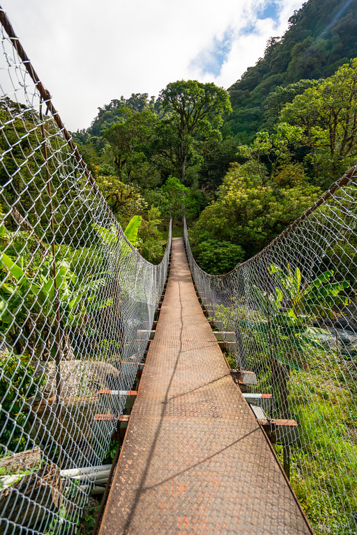 Hanging Bridges