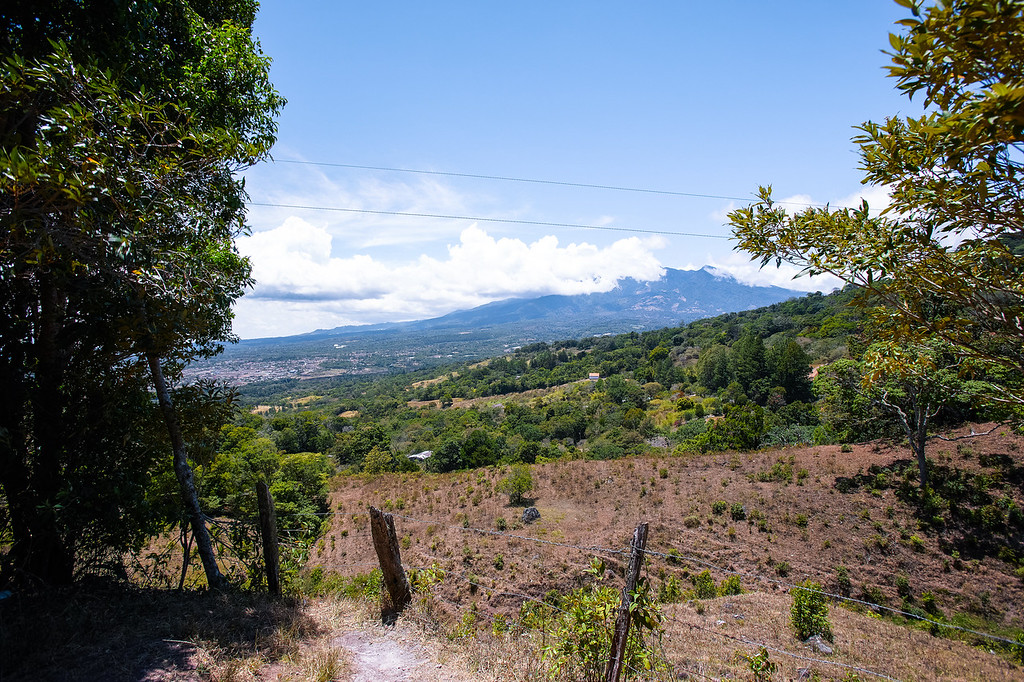 Panoramic tour